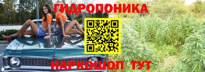 винт Дубна