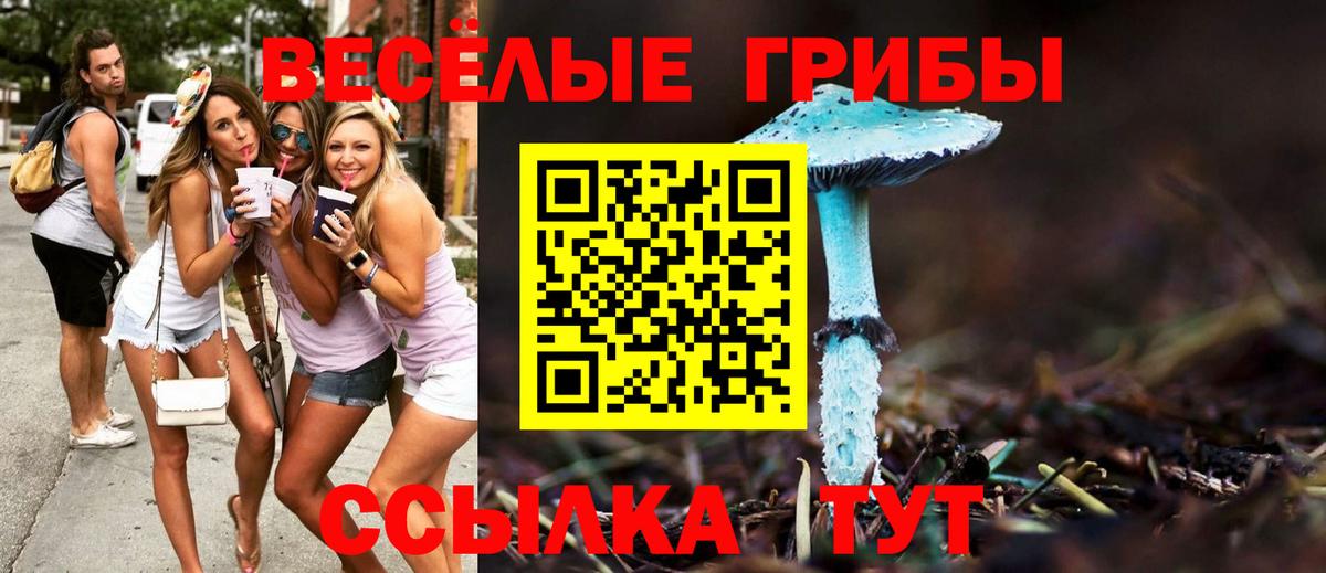 Галлюциногенные грибы Psilocybe Нерюнгри