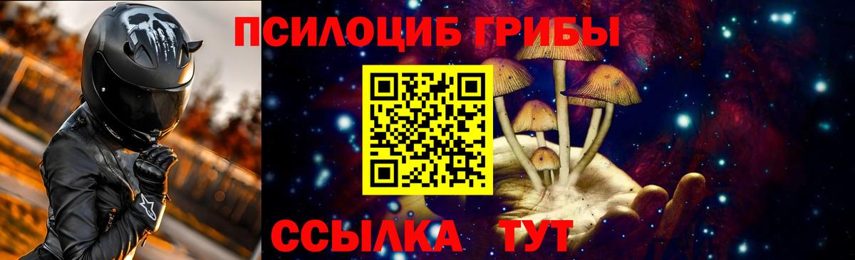 Нерюнгри  Псилоцибиновые грибы Magic Shrooms  Вход с VPN 